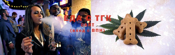 тгк Горнозаводск