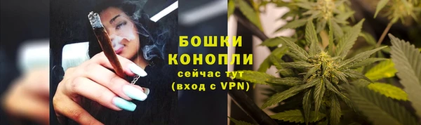 тгк Горнозаводск