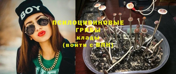 марки lsd Горняк