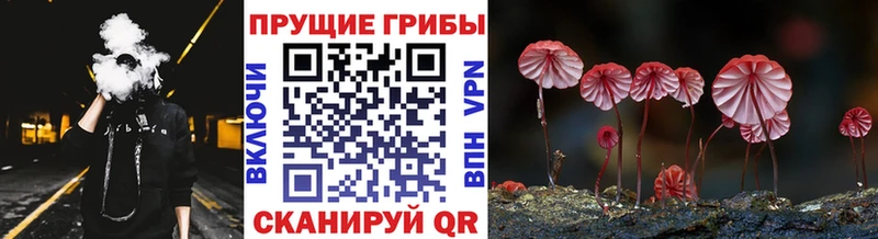 даркнет сайт  Нефтеюганск  Галлюциногенные грибы мицелий 